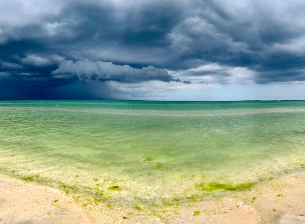 Riva Lake Boutique Mamaia Εξωτερικό φωτογραφία